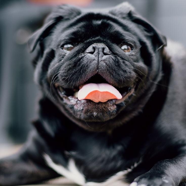 Portrait of Jonah, community mentor and Italian cuisine expert